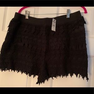 Express black lace shorts